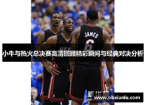 小牛与热火总决赛高清回顾精彩瞬间与经典对决分析